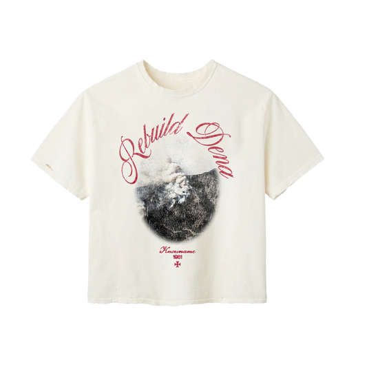 "REBUILD DENA" TEE
